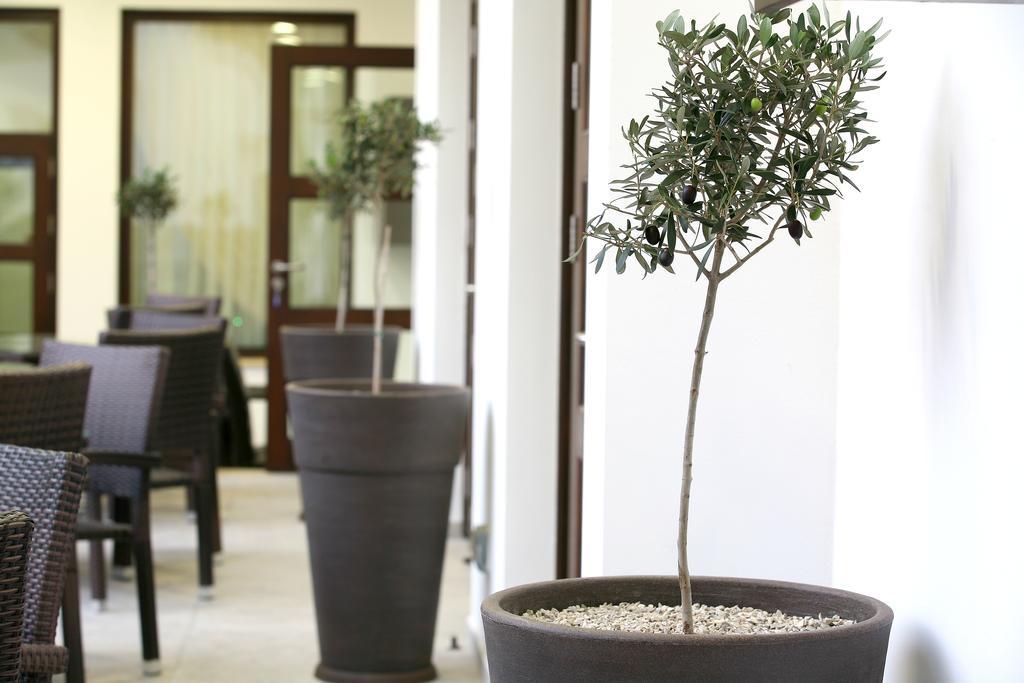 ניקוסיה Royiatiko Hotel מראה חיצוני תמונה